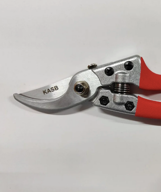 3170 - Pruning Secateur